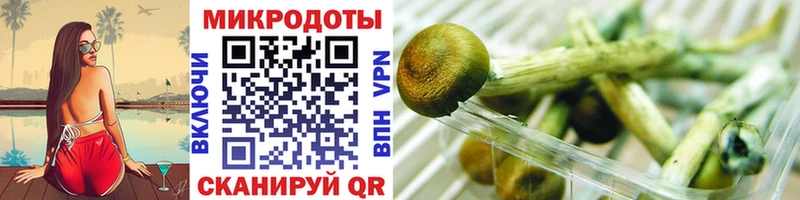 Псилоцибиновые грибы GOLDEN TEACHER  Купить  Назарово 